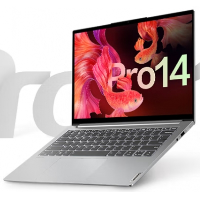 聯(lián)想（Lenovo） 小新Pro14 標壓銳龍 高性能全面屏輕薄筆記本電腦 R7-5800H 16G 512G 2.8K屏